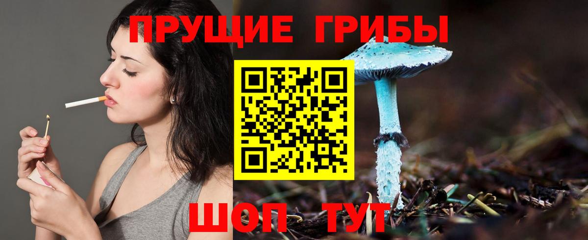Галлюциногенные грибы Magic Shrooms  Вход с VPN  Псилоцибиновые грибы прущие грибы  Долгопрудный 